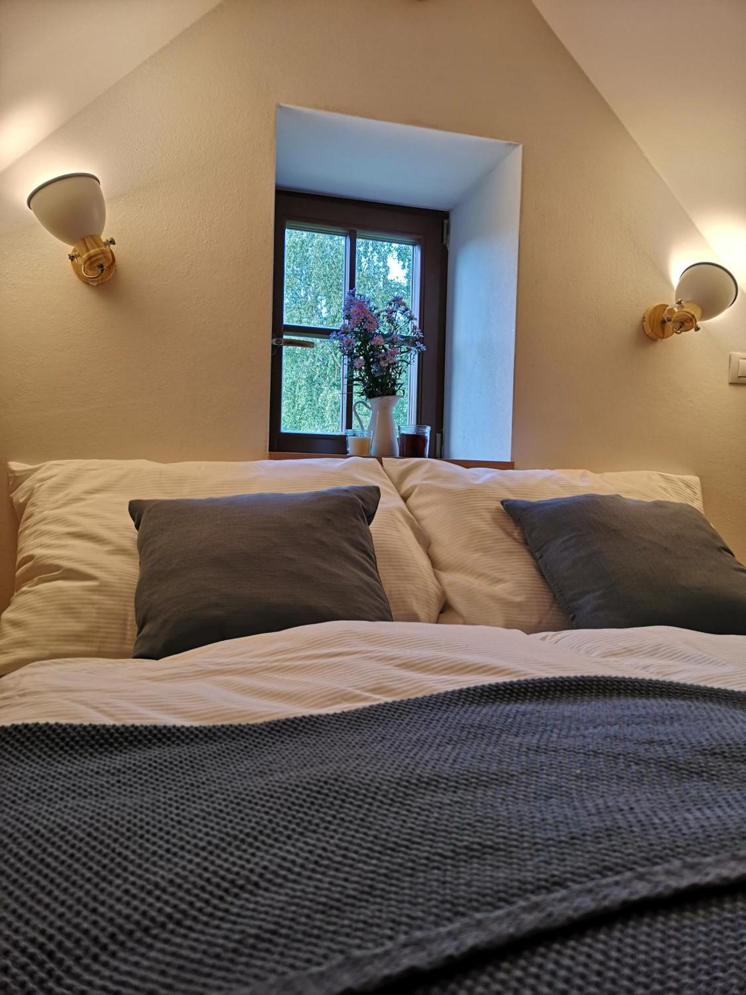 Na Jeleni Stezce Villa Chřibská Bagian luar foto